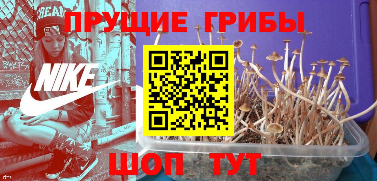 магазин  наркотиков  Галлюциногенные грибы прущие грибы  Вход с VPN  Екатеринбург 